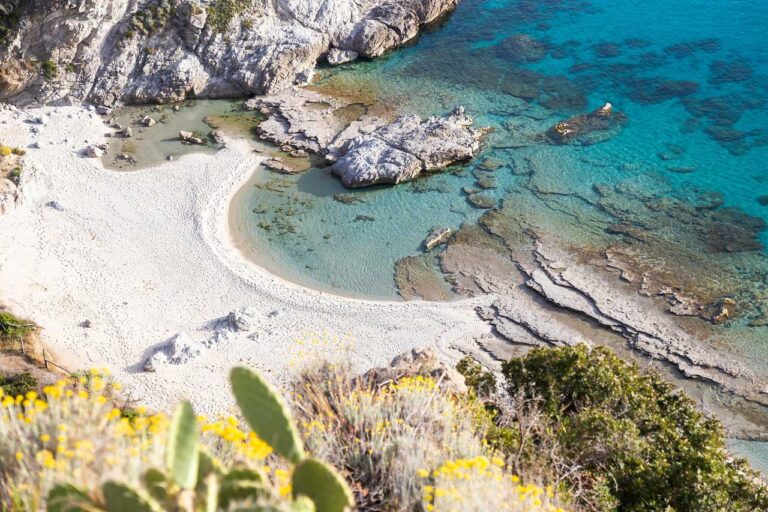 tropea-programok