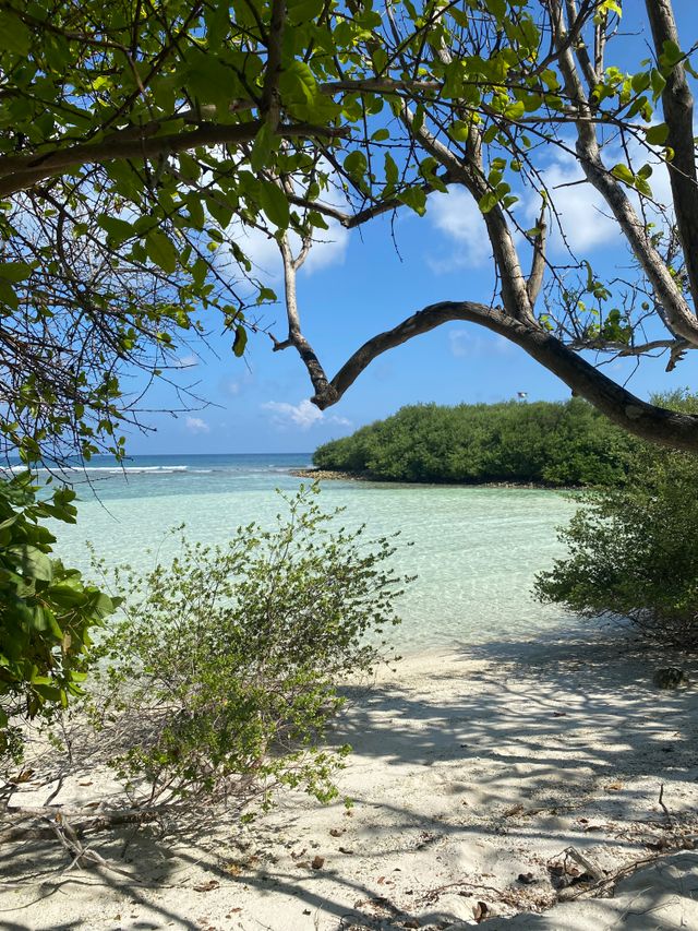 Szállások Thulusdhoo-n